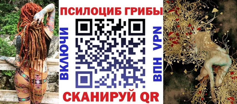 купить наркоту  MEGA ТОР  Галлюциногенные грибы мухоморы  Елец 